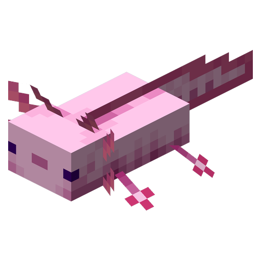 Axolotl